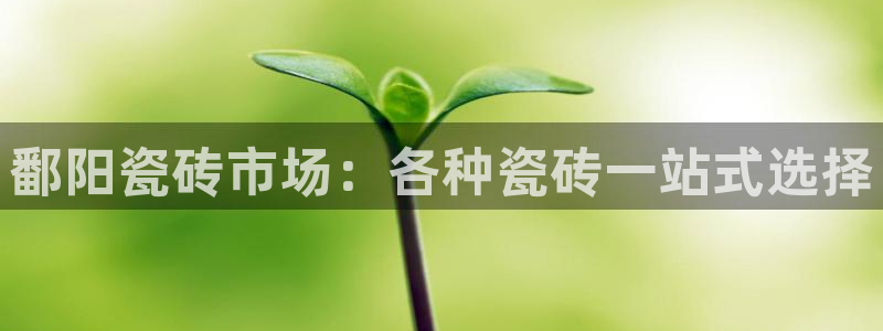 杏鑫平台代理怎么样可靠吗