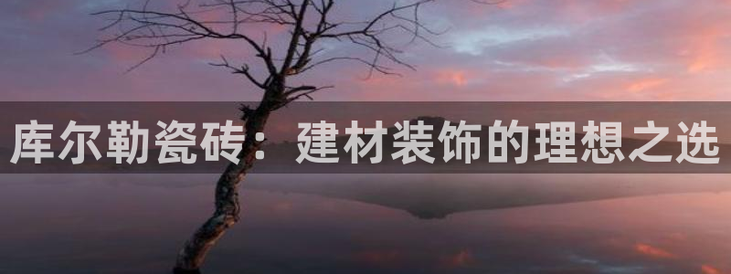 杏鑫平台在线注册流程