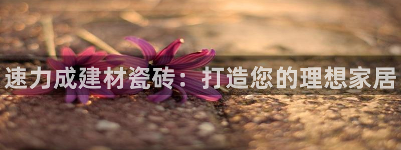 杏鑫平台注册地址