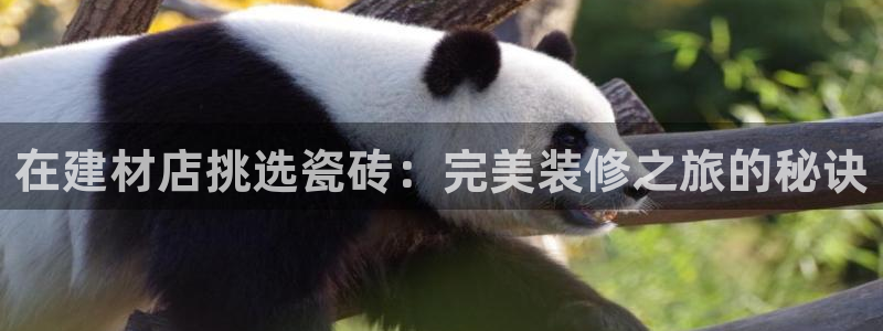 杏鑫娱乐官方网站客户端登录