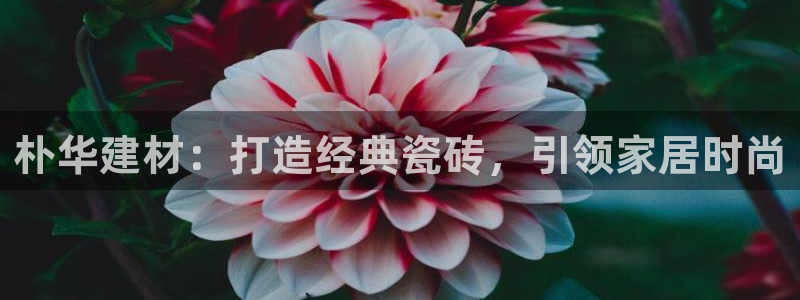 杏鑫娱乐官方网站客户端下载
