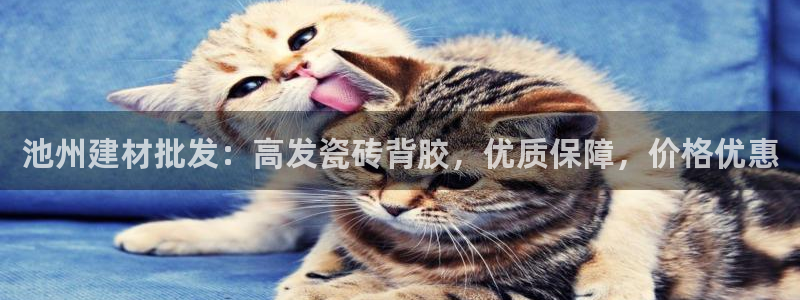 杏鑫平台怎么样