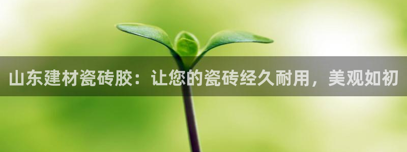 杏鑫登录注册测速