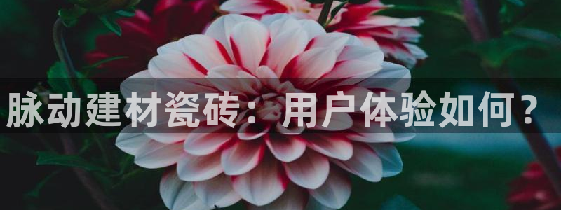 杏鑫娱乐平台测速怎么样