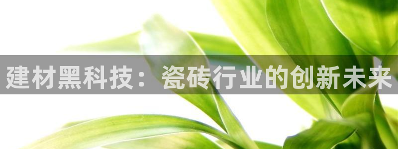 杏鑫手机客户端怎么下载