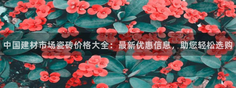 杏鑫平台测速