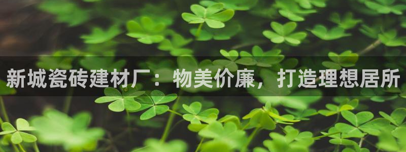 杏鑫平台代理怎么样