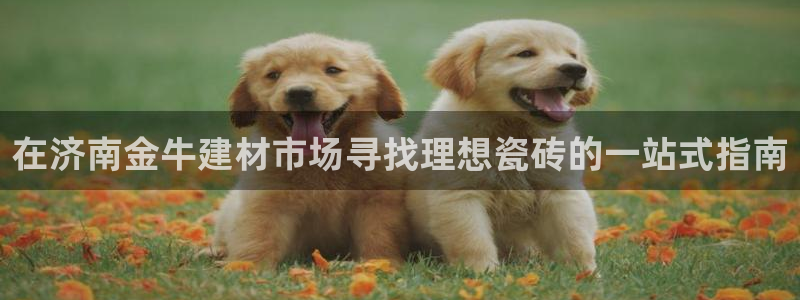 杏鑫官网注册账号