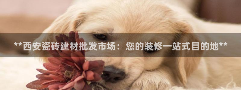 杏鑫平台怎么样黑钱吗知乎