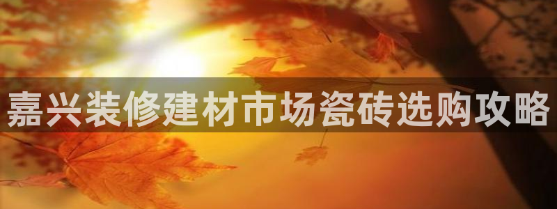 杏鑫平台注册地址在哪里