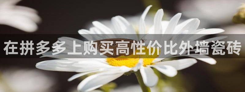 杏鑫官网