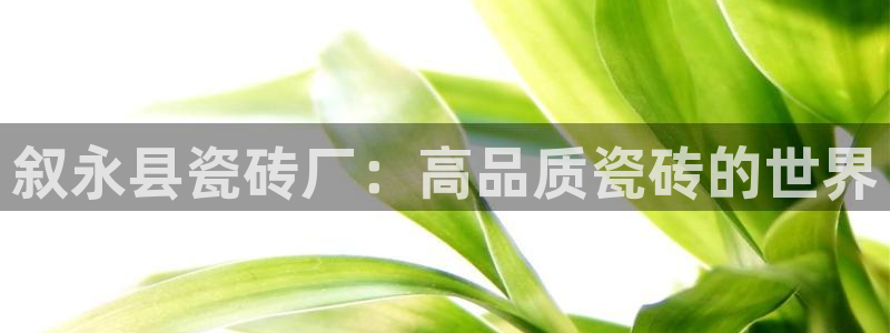 杏鑫有亏损返点吗