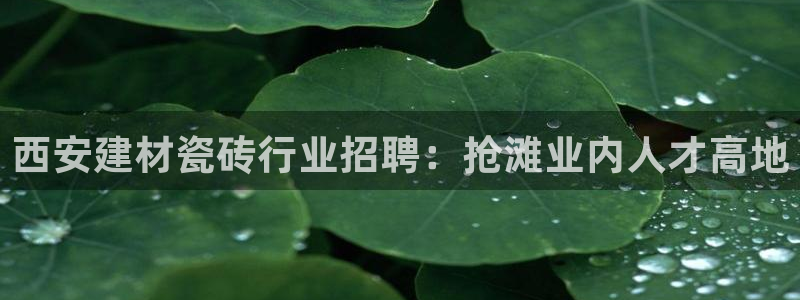 杏鑫平台列7O777
