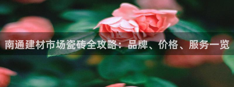 杏鑫登录注册