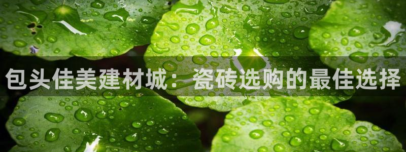 杏鑫平台怎么样