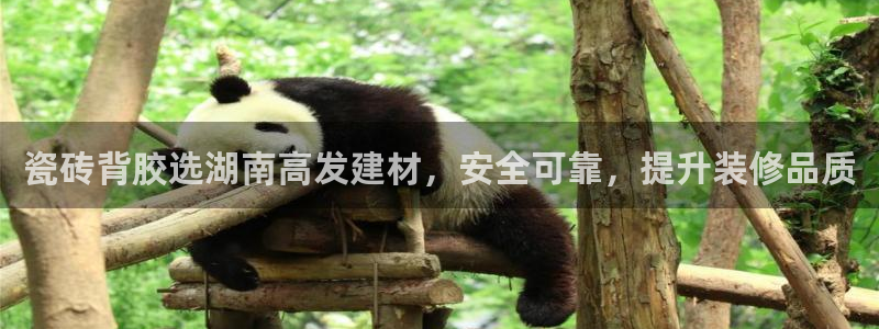 杏鑫平台注册网址是什么