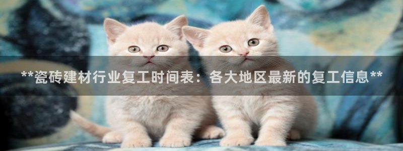 杏鑫娱乐多少年了