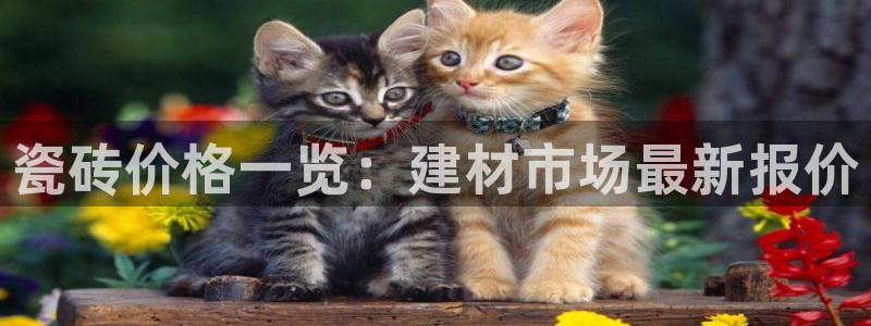 杏鑫官方平台怎么样啊可靠吗