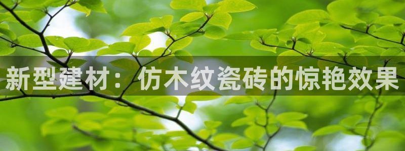 杏鑫平台代理怎么做的
