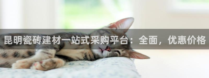 杏鑫官网注册账号是什么意思