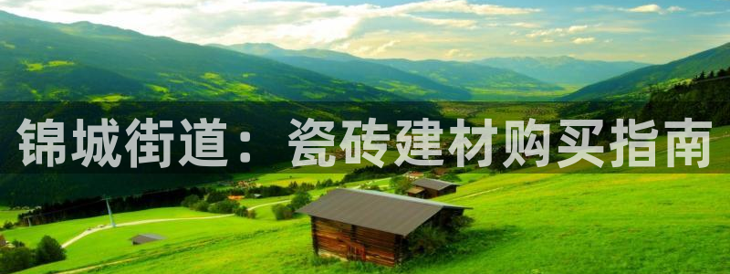 杏鑫官网最新信息新闻报道