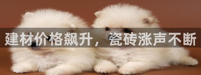 杏鑫平台代理怎么样