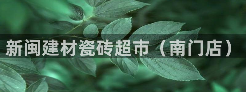 杏鑫平台代理注册流程视频