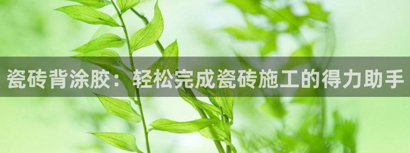 杏鑫官网注册账号怎么注册不了