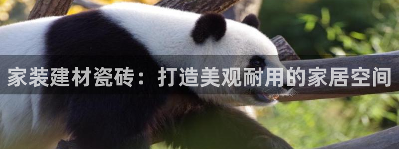 杏鑫娱乐平台测速