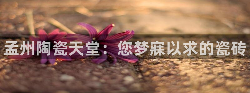 杏鑫官网注册账号密码是多少
