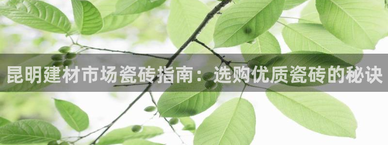 杏鑫平台招商电话号码是多少