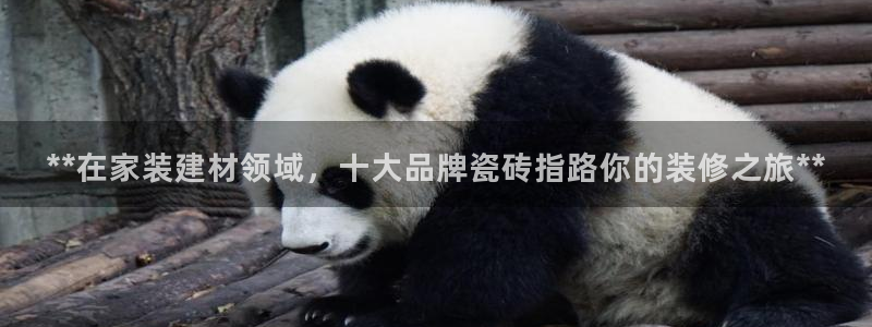 杏鑫平台怎么样黑钱吗