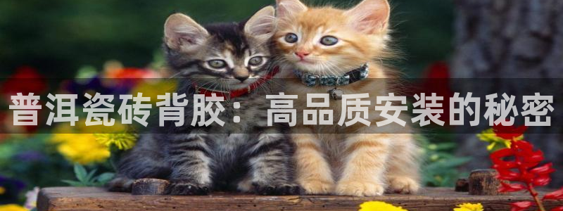 杏鑫注册登录网址是多少