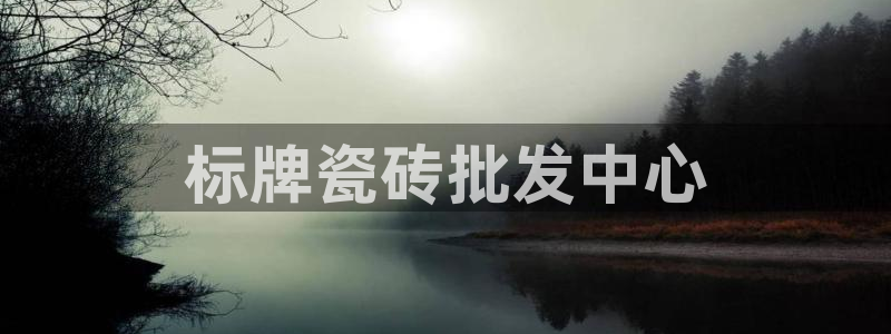 杏鑫招商总代