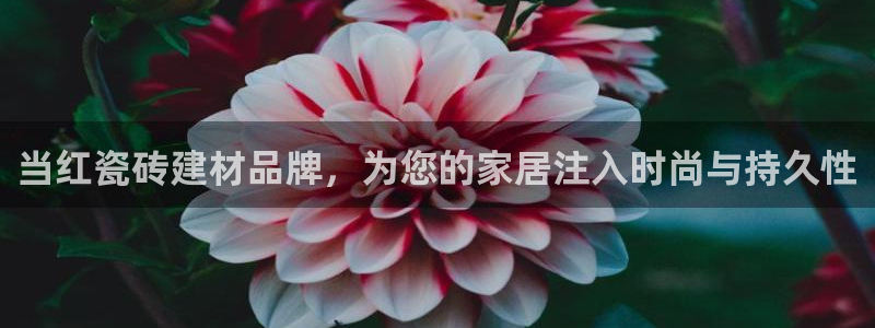 杏鑫登录注册测速