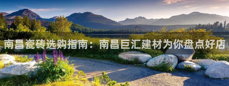杏鑫平台代理注册流程图
