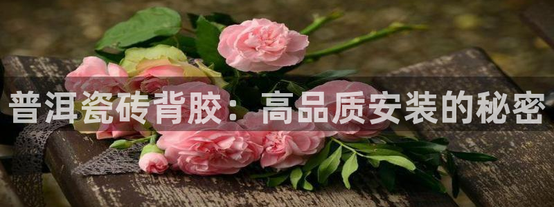 杏鑫娱乐官方网站客户端下载安装