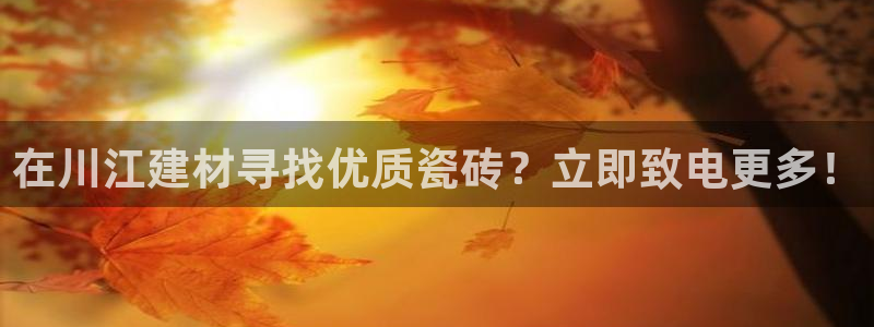 杏鑫平台怎么样知乎