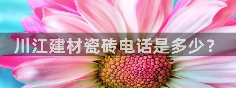 杏鑫平台野马联盟怎么样