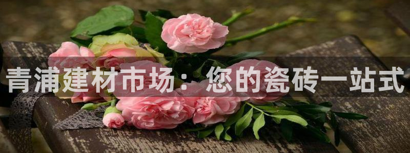 杏鑫官方平台怎么样啊