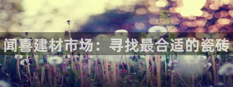 杏鑫平台登陆