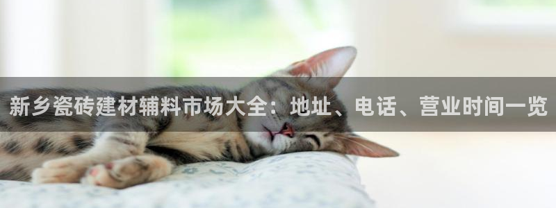 杏鑫官网注册账号密码忘了