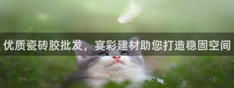 杏鑫娱乐怎么下