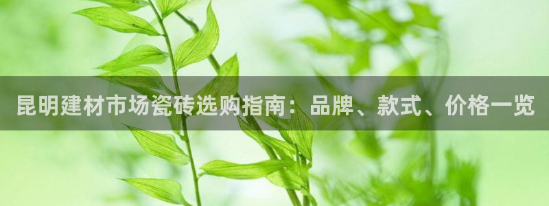 杏鑫平台是黑平台吗是真的吗
