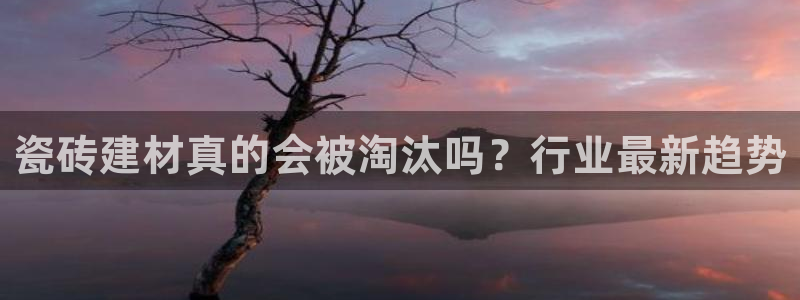 杏鑫有亏损返点吗