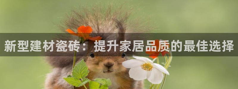 杏鑫平台代理怎么样可靠吗