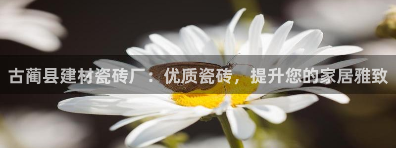 杏鑫平台代理怎么样啊