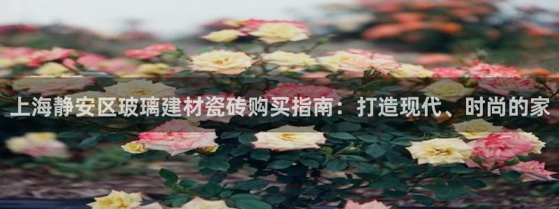 杏鑫娱乐多少年了