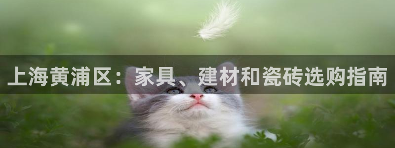 杏鑫平台正规吗是真的吗