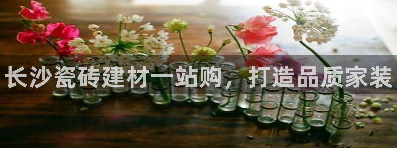 杏鑫官网注册账号怎么注册不了